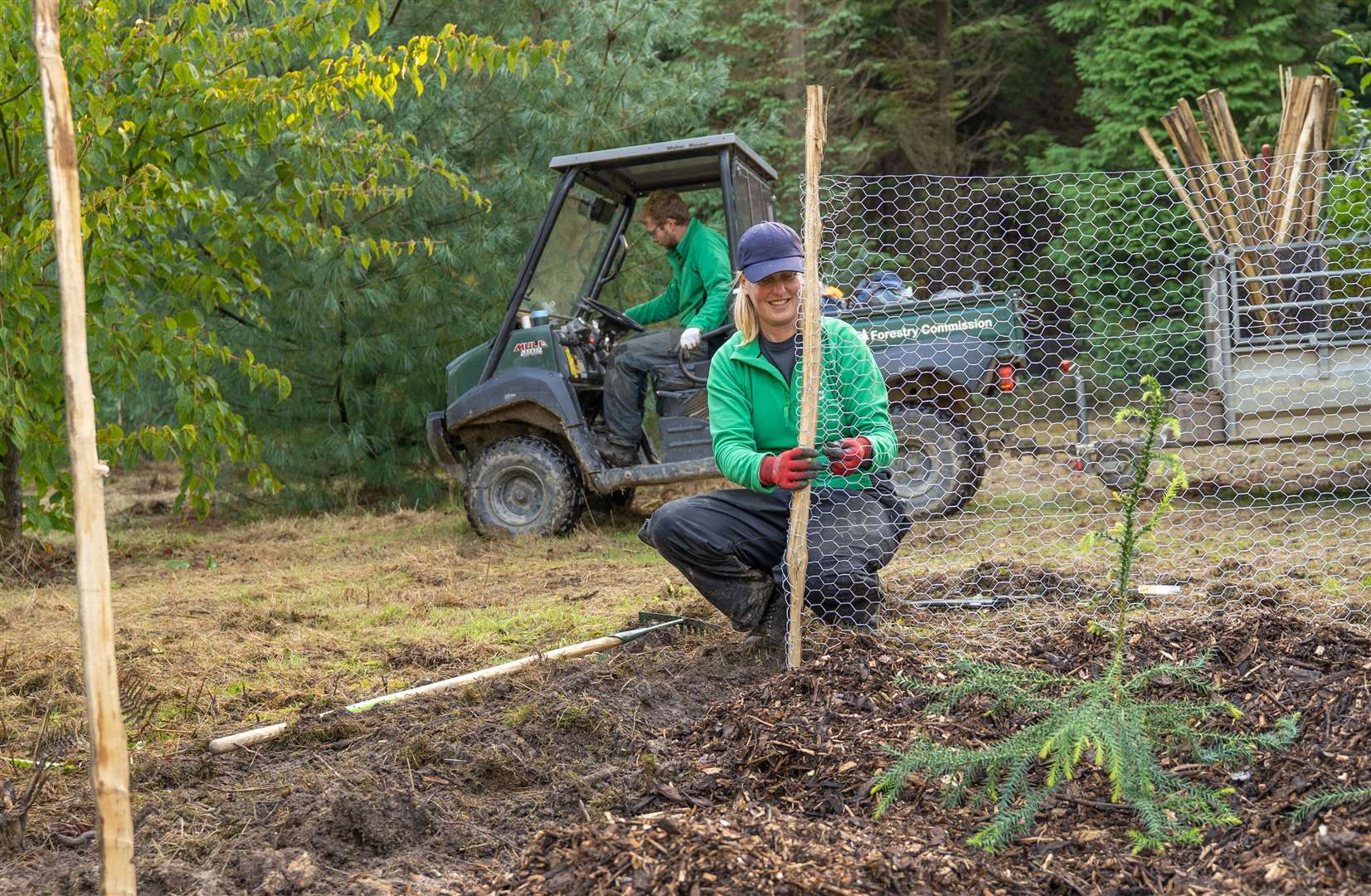 Described as a ‘tree zoo’ the staff are carrying out critical conservation work every day. Image: Forestry England.