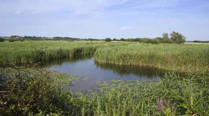 Stodmarsh Nature Reserve in Canterbury