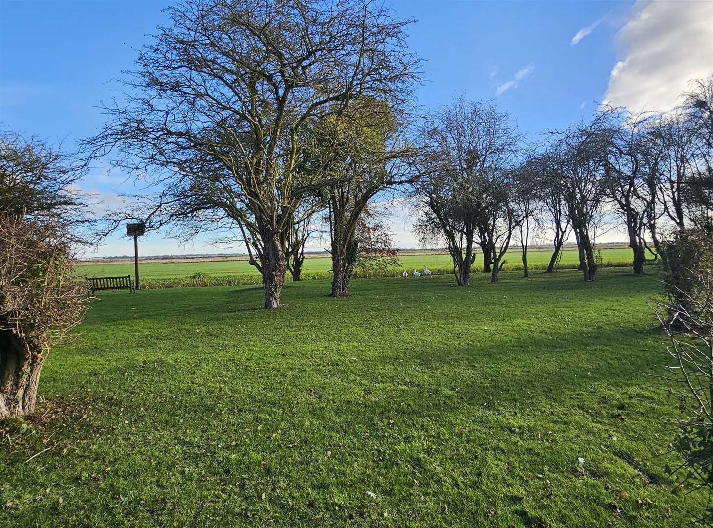 Guests have praised the beautiful countryside at Chitty Chitty Glamping in Chislet. Picture: Becky Young