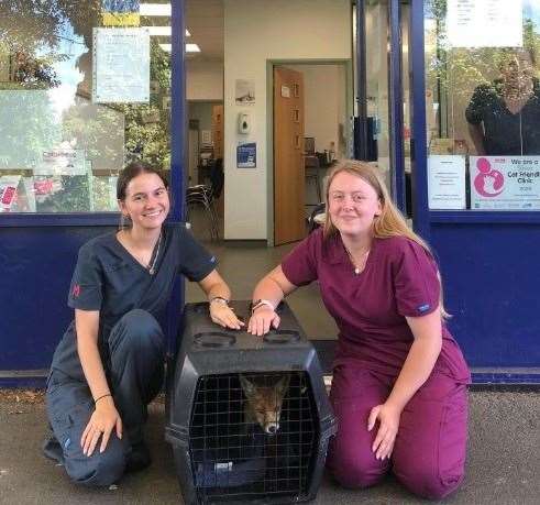 Izzy, on the left, and Amelia from Midivet who helped save the fox cub.