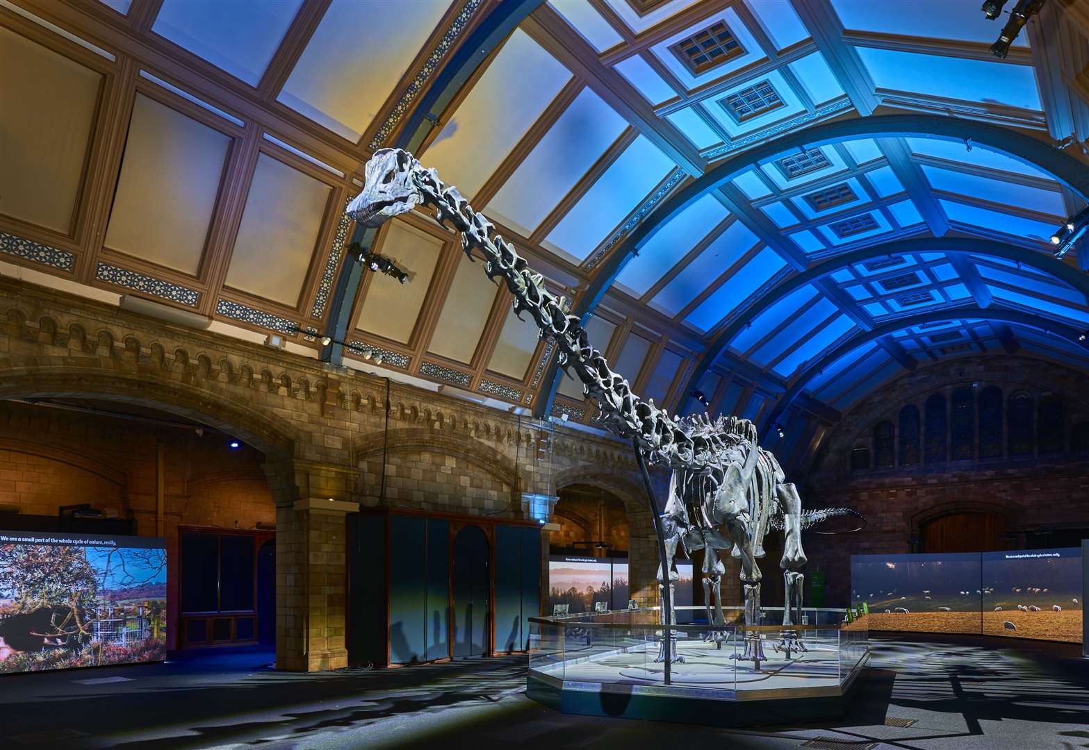 Dippy the Dinosaur has returned to the Natural History Museum’s Waterhouse Gallery after a UK-wide tour (Trustees of the Natural History Museum/PA)