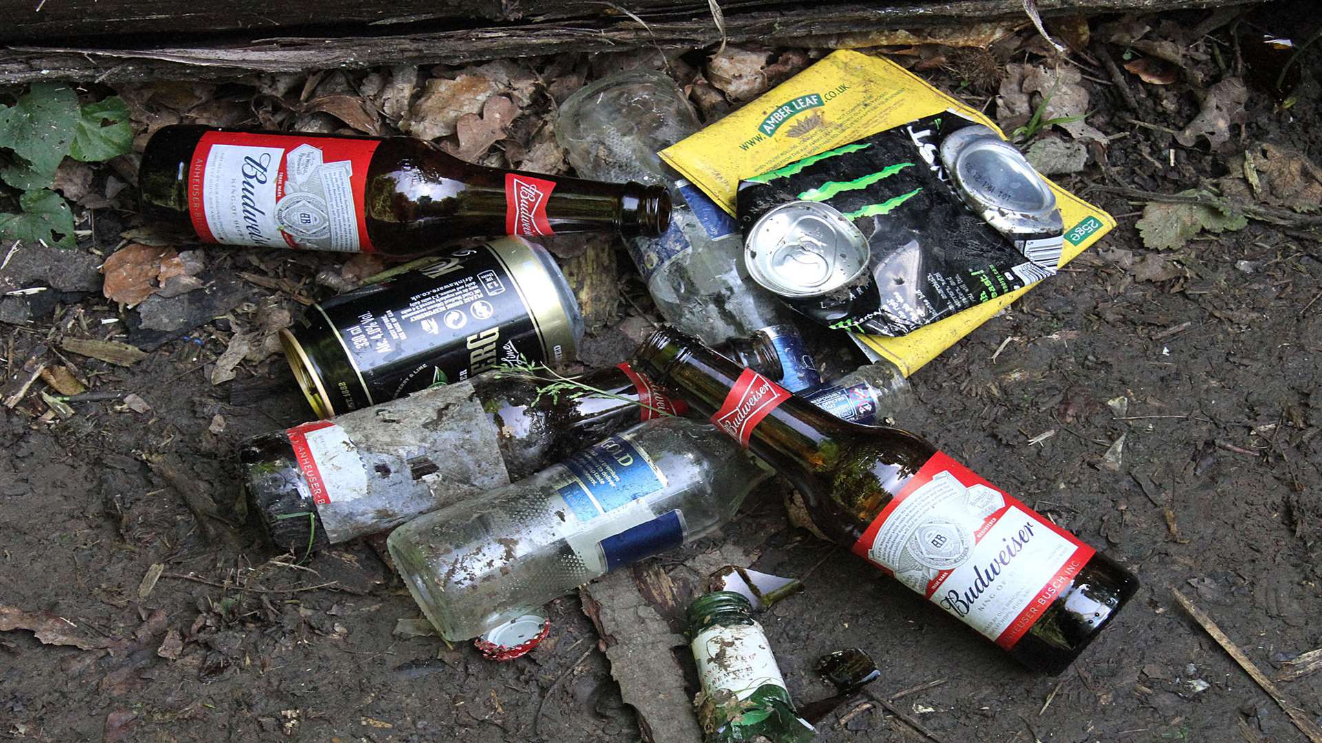 The mess left by youths at the Ambley Wood