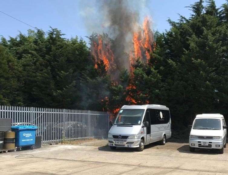 How the party bus looked before the fire hit