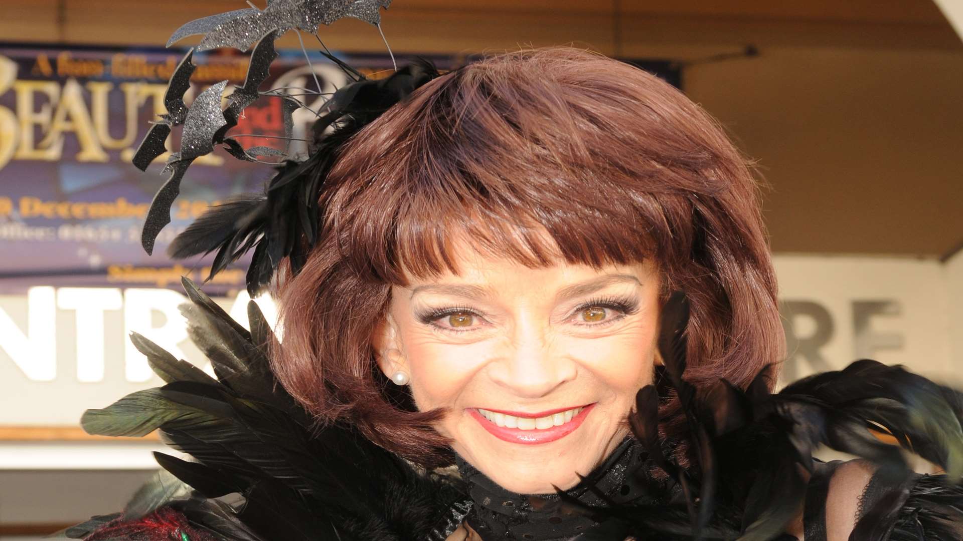 Sue Holderness who played Marlene in Only Fools and Horses plays the Wicked Witch in The Central Theatre's pantomime.