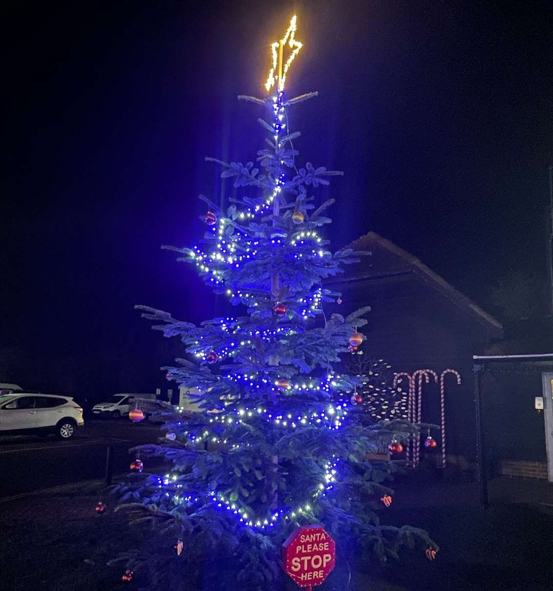 The decorated tree at Demelza