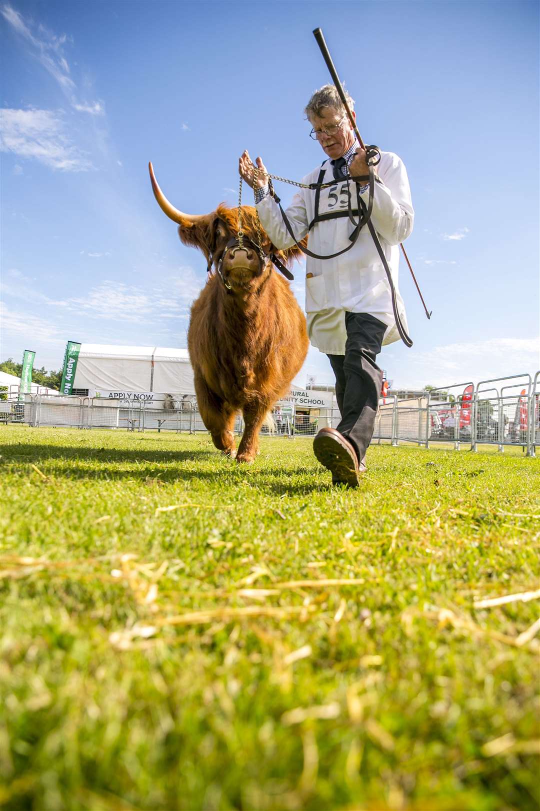 On parade at the Kent County Show