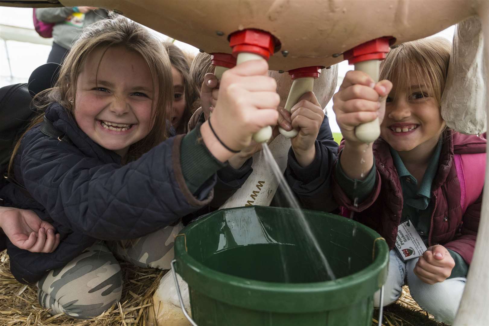 The Living Land event a few years ago saw children visit the Kent Showground Picture: Martin Apps