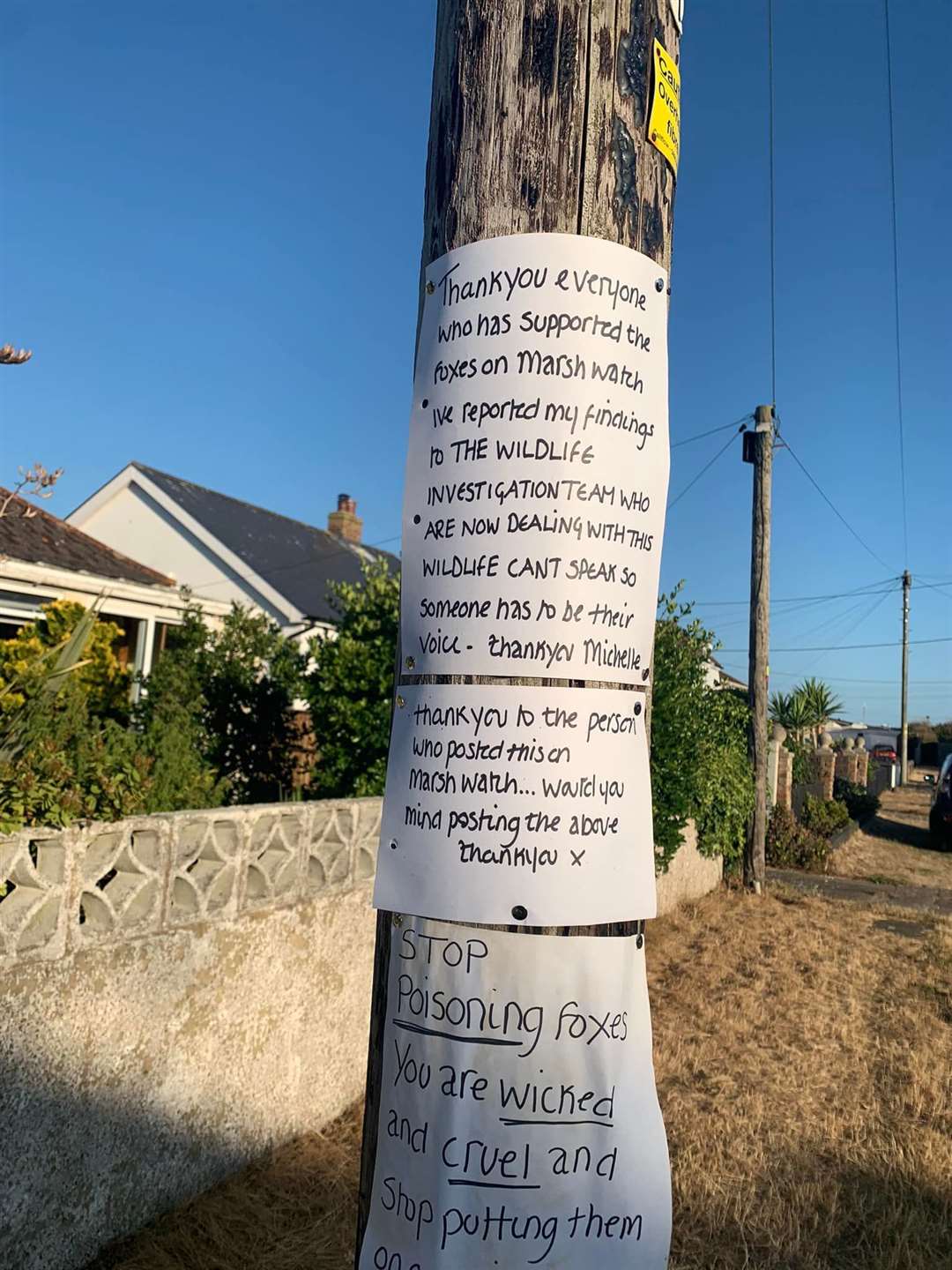 Posters in Greatstone, Romney Marsh, after dead foxes were dumped on a driveway (57869629)
