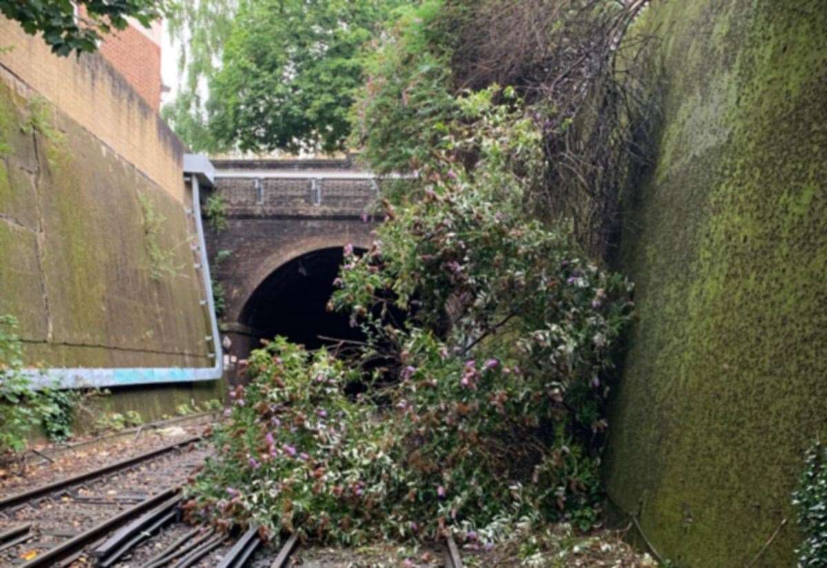 Southeastern sagte, dass Züge in Dartford und Gravesend ausfielen, nachdem ein Lastwagen mit einer Brücke in Swanscombe und einem Baum auf den Gleisen in Greenwich kollidierte.