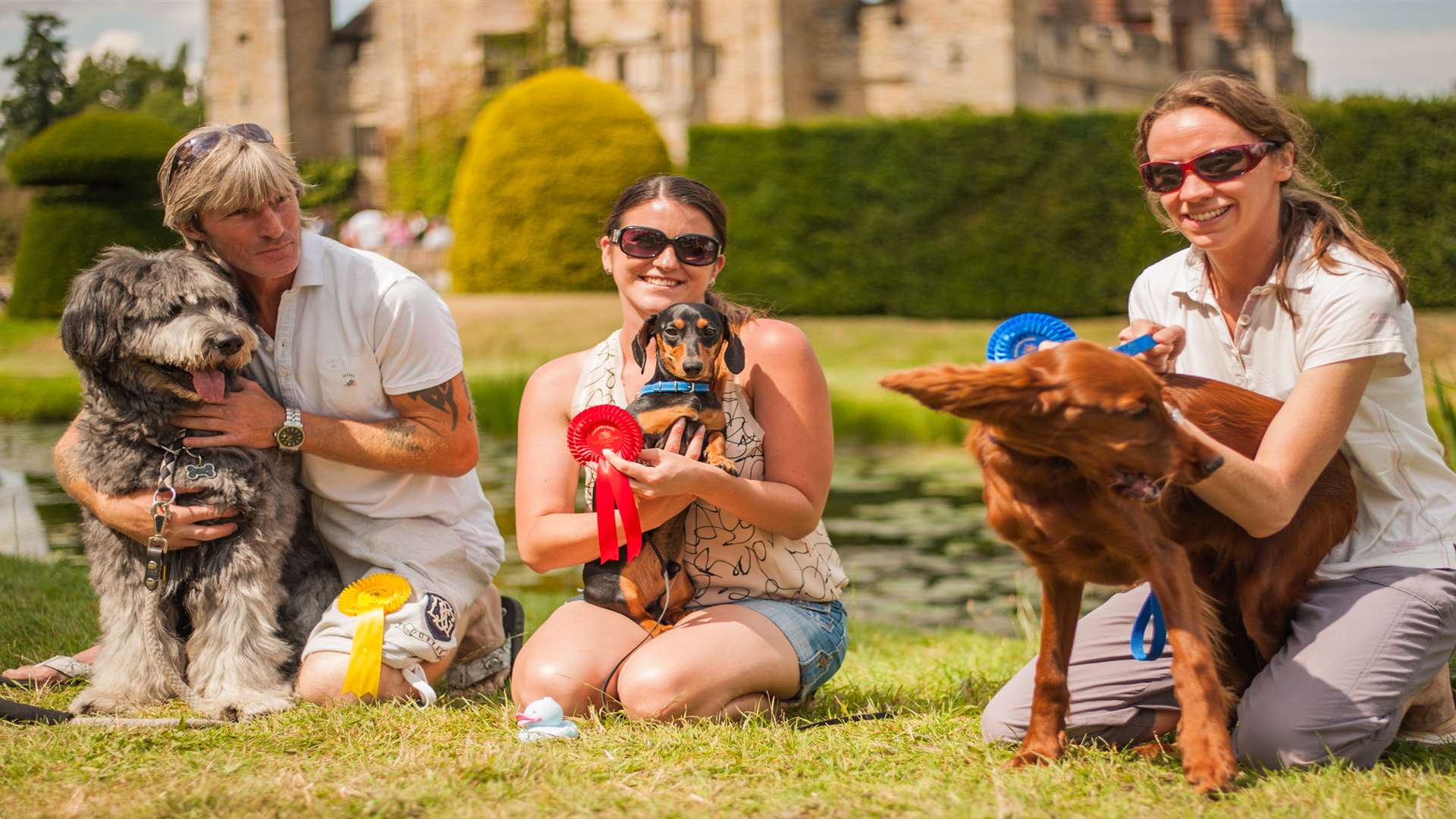 Paws at Hever