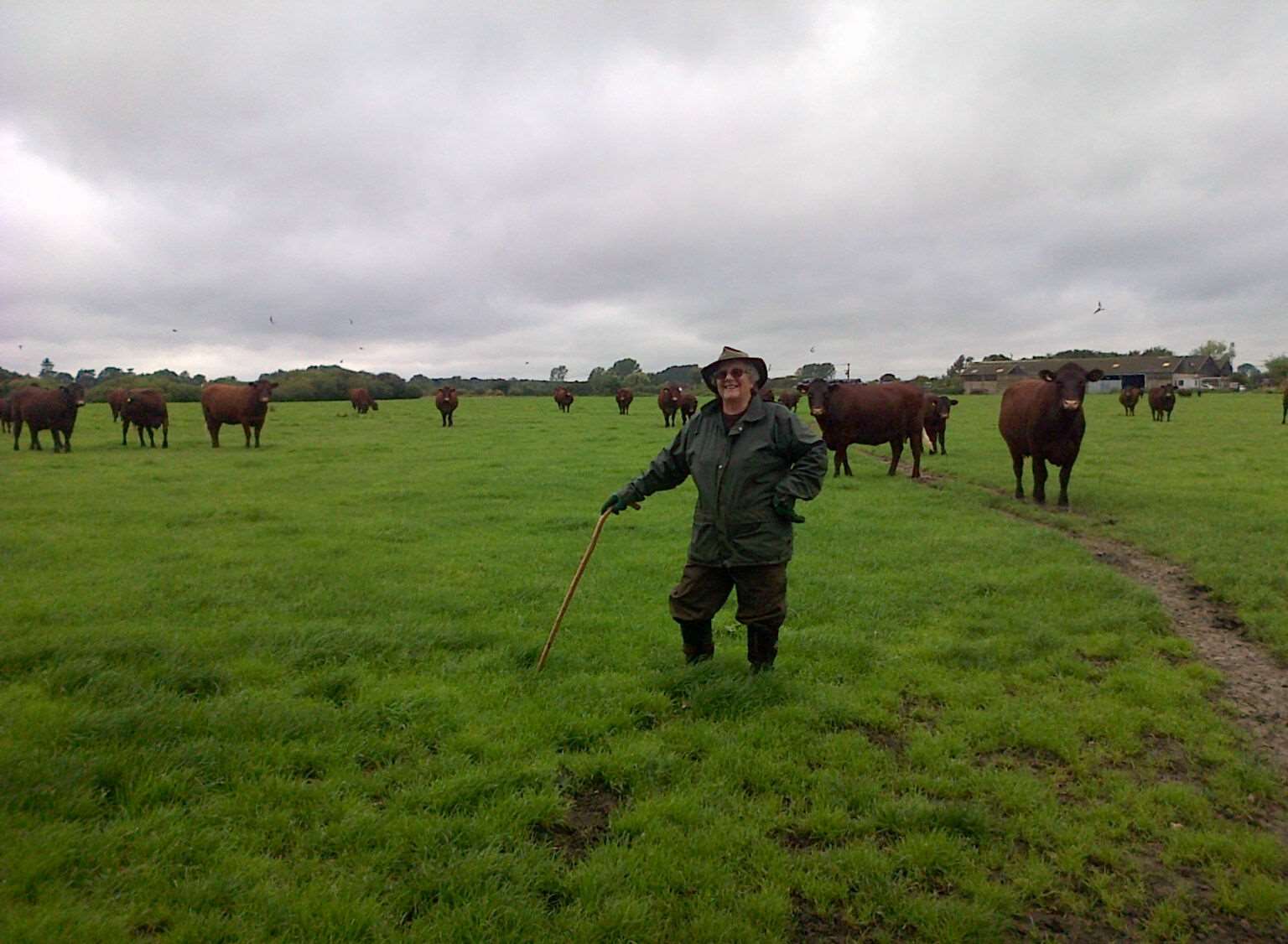 Jenny Baxter with her herd