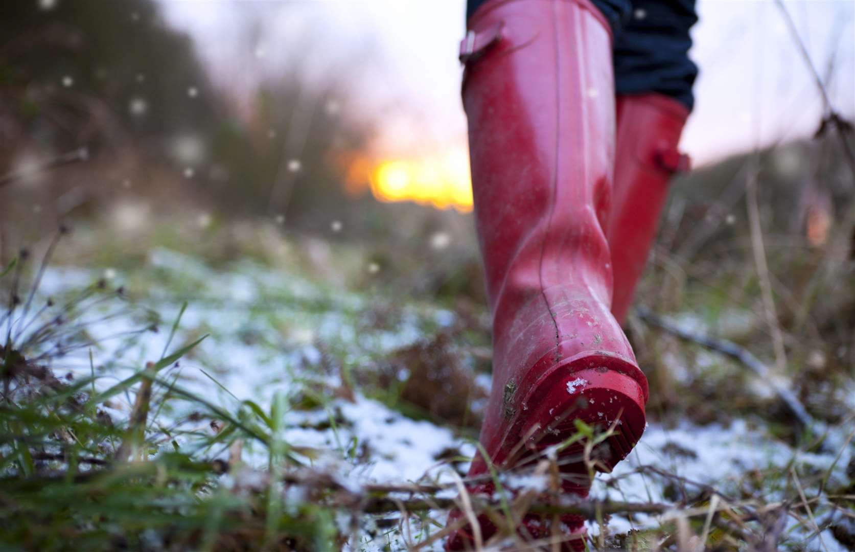 Get out for a winter walk at Betteshanger