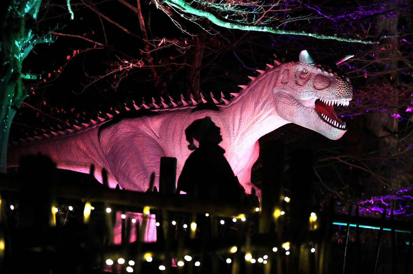 Meanwhile, at Blair Drummond Safari Park near Stirling, visitors can follow a trail dotted with life-sized dinosaurs (Andrew Milligan/PA)