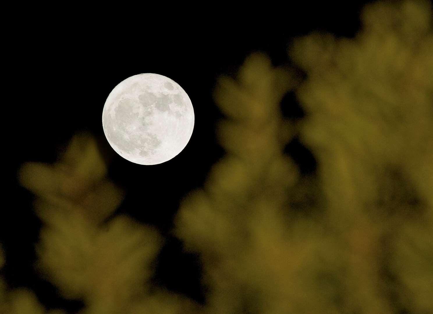 The Harvest Moon will peak on September 29