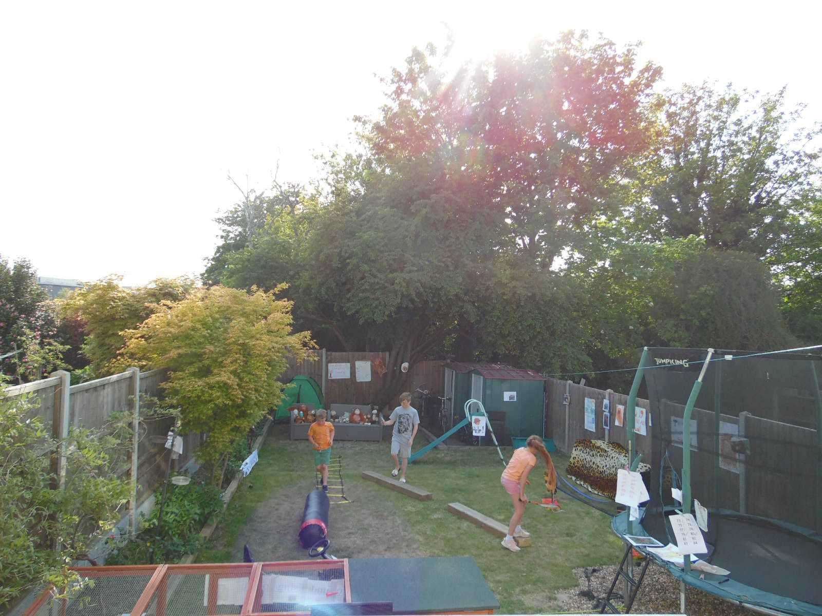 The Ape Trail set up in the Sillences' back garden in Vale Road, Gravesend