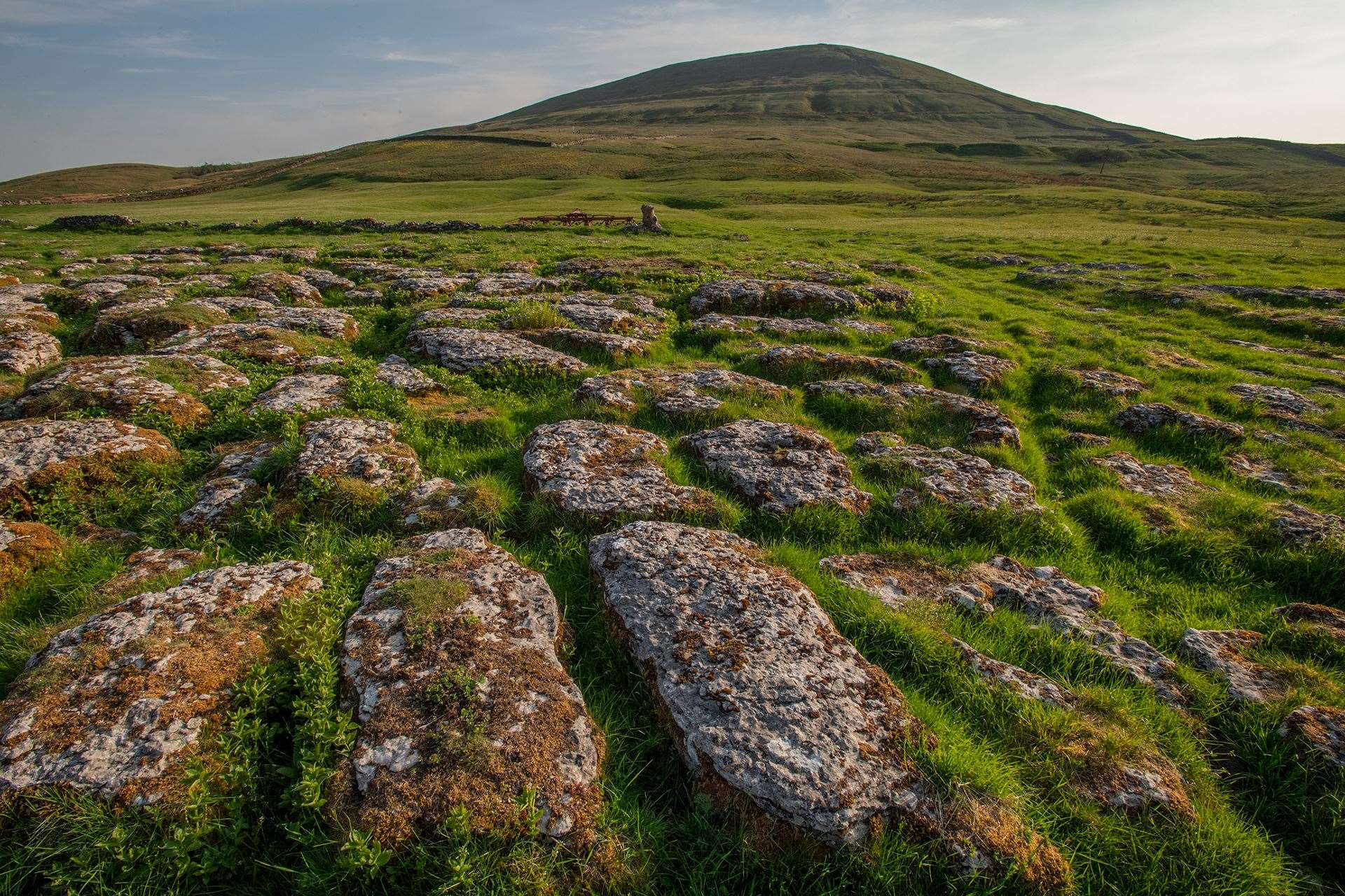 Exposed limestone pavement in the Wild Ingleborough project site (Andrew Parkinson/WWF-UK/PA)