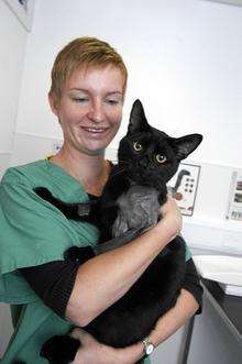 Kitkat the cat with vet Margaret Cnatalska