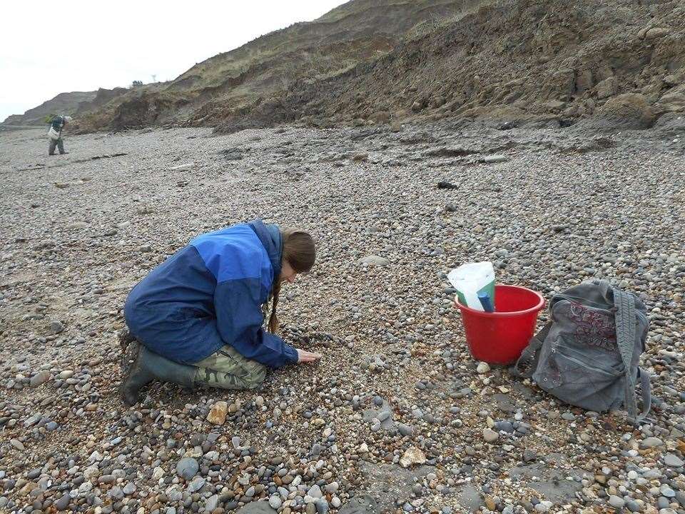 Fossil hunters on the beach at Eastchurch on the Isle of Sheppey. Picture: Yoeri Christiaens
