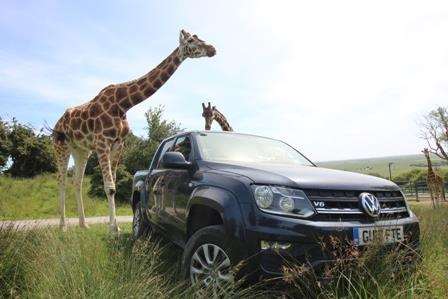 Port Lympne has taken delivery of the fleet after a deal with local motor group (2833677)