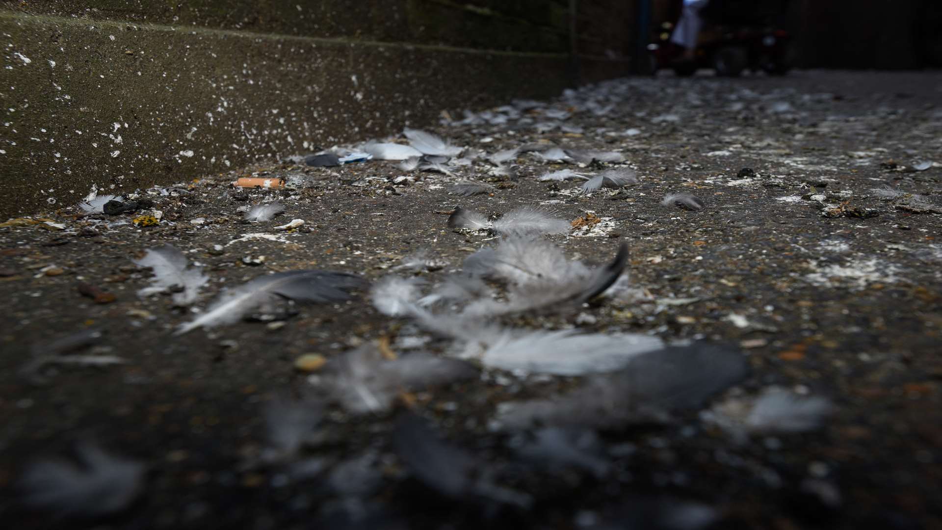 Locals say the alley is slippery and dangerous