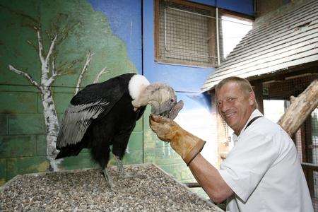 Alan Ames, boss of Eagle Heights bird of prey centre
