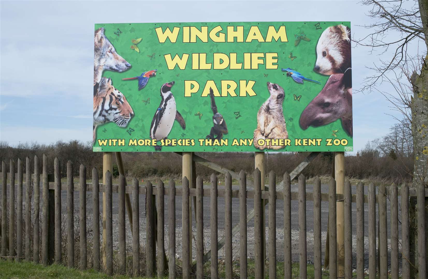 Wingham Wildlife Park seeks to re-open as soon as possible