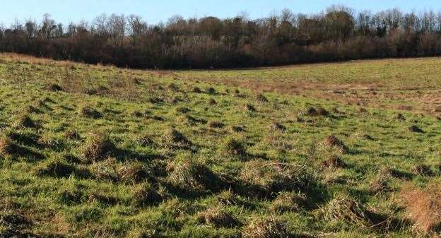 The proposed solar farm sits entirely within the green belt. Picture: Wessex Solar Energy