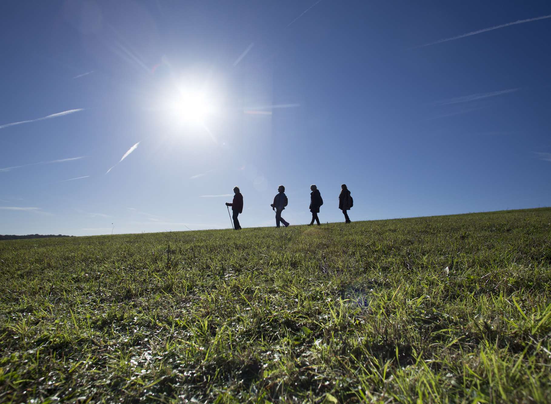 Lullingstone Country Park in north Kent