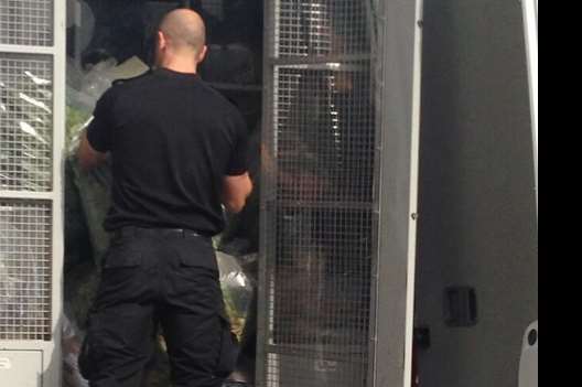 Police loading a van with suspected cannabis in Brewer Street, Maidstone. Pic @HarryHoskins1