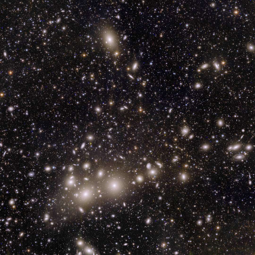 Euclid’s view of the Perseus cluster of galaxies (ESA/Euclid/Euclid Consortium/Nasa)