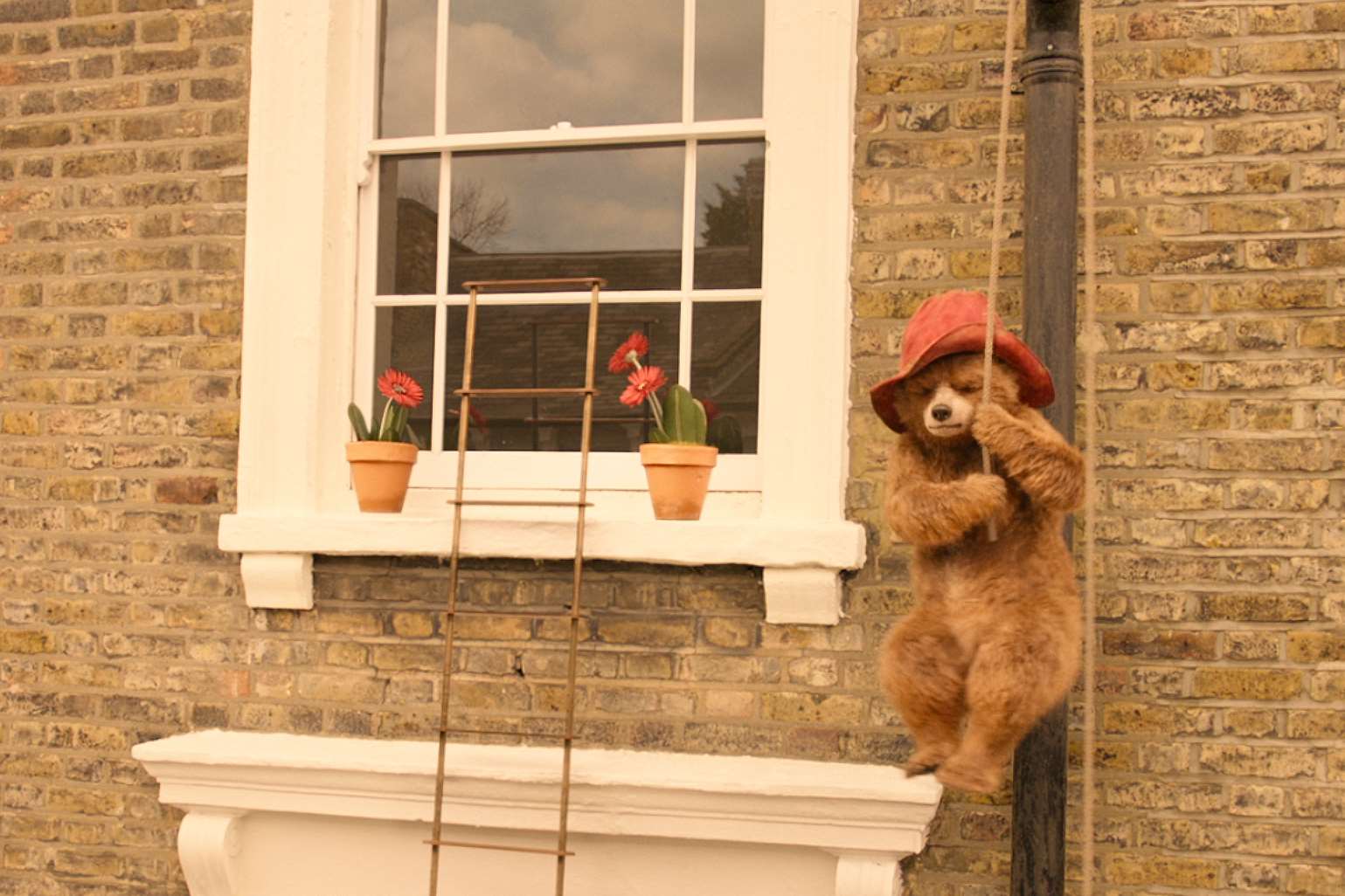 Paddington returns this autumn