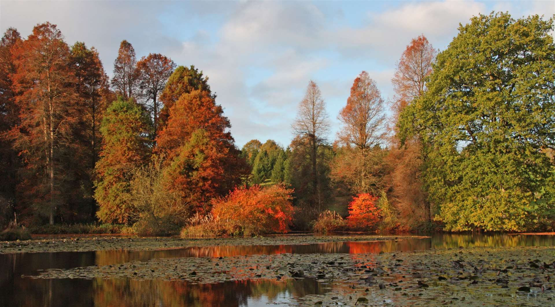 Autumn is a wonderful time to explore Kent’s country parks