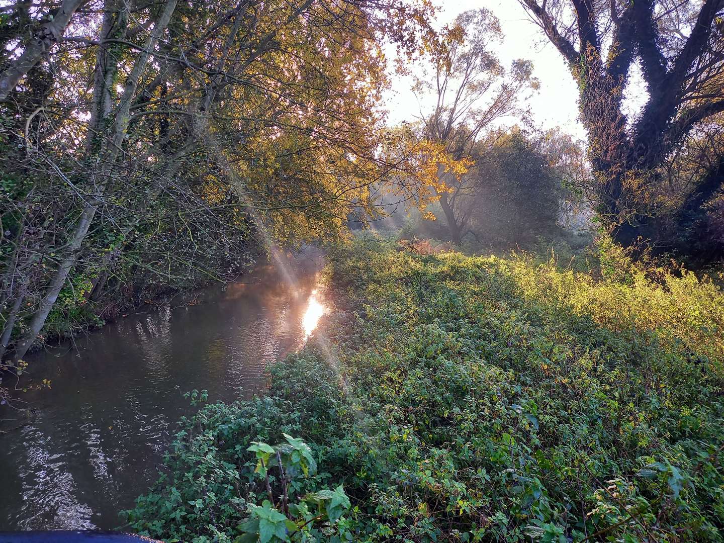 The Stour runs beside Tannery Field