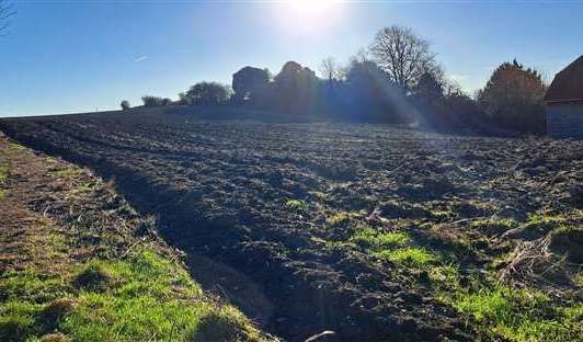 Petham Court Farm