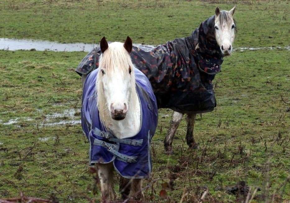 Curious onlookers looked unimpressed at the discarded vehicle. Picture: UKNIP