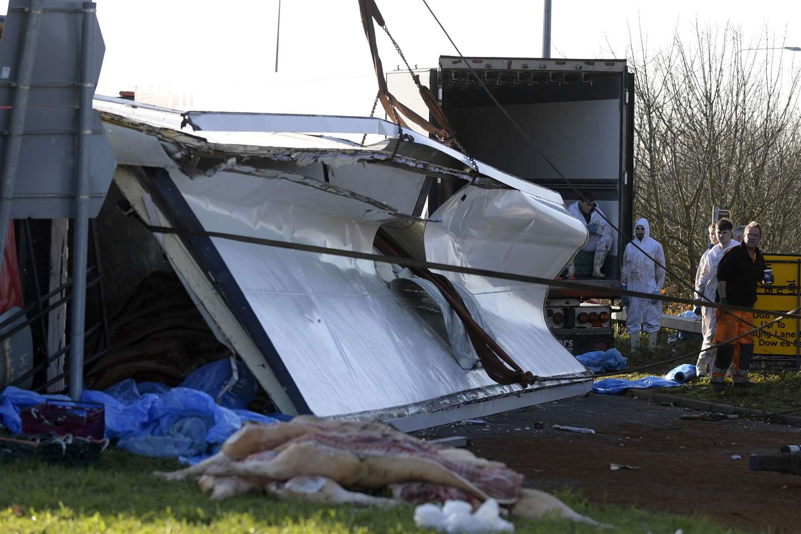 Diesel and pig carcasses were strewn across the road. Picture: Barry Goodwin