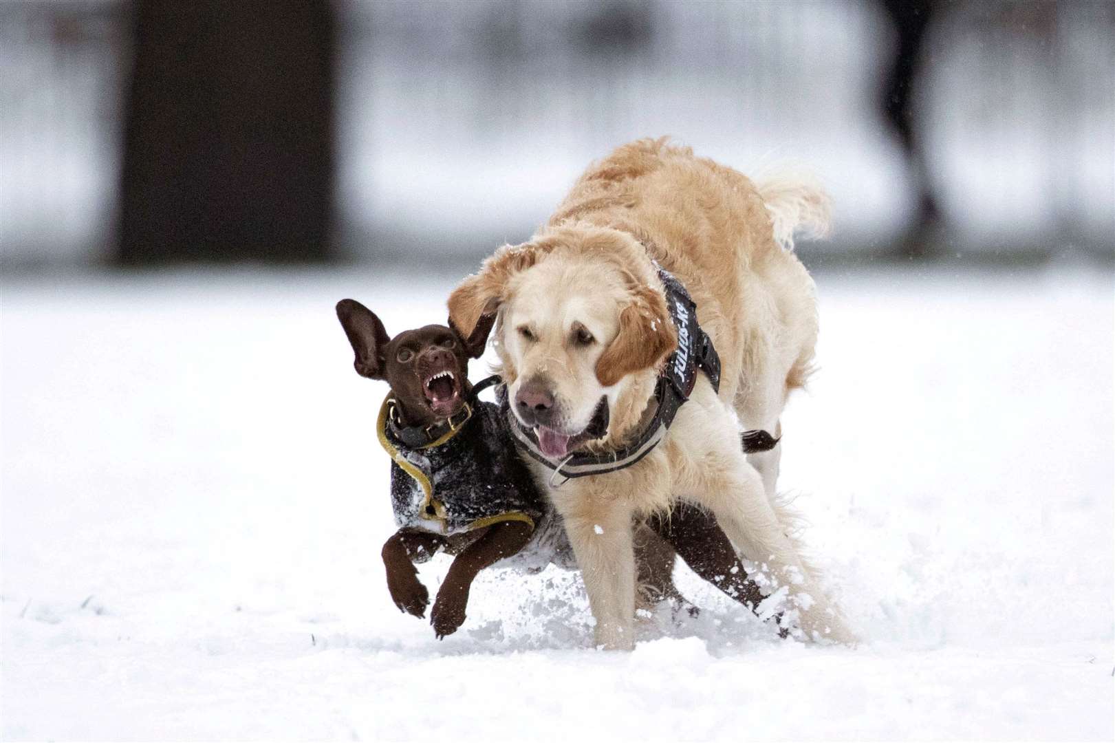 Snow, ice and cold temperatures are forecast this week, the Met Office said (Ben Whitley/PA)