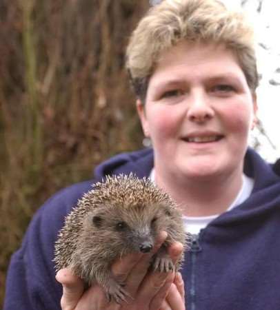 PET CARE: Mollie the hedgehog with Amanda Williams. Picture: KATHARYN BOUDET
