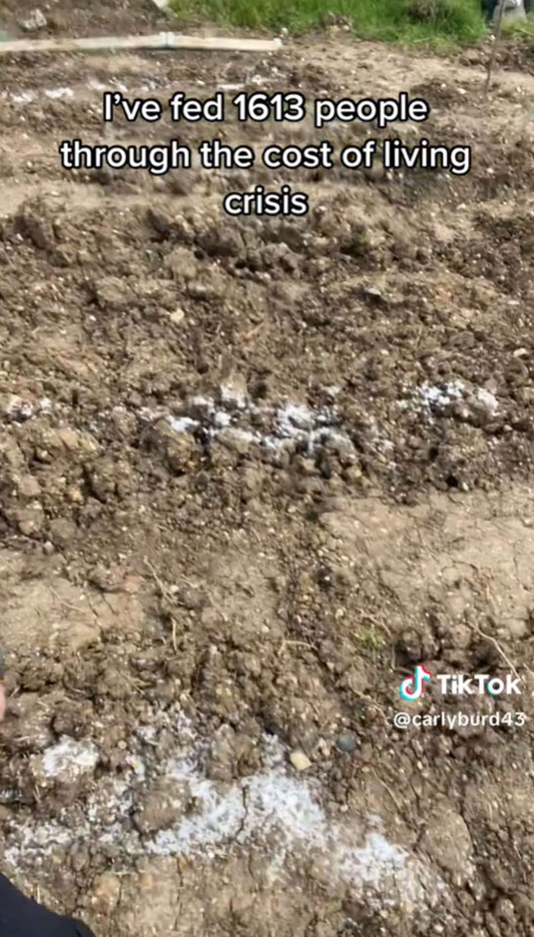 Carly’s allotment was ruined with salt (carlyburd43/TikTok)