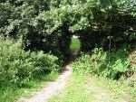 The alleyway close to Tenterden leisure centre, where the naked man was spotted