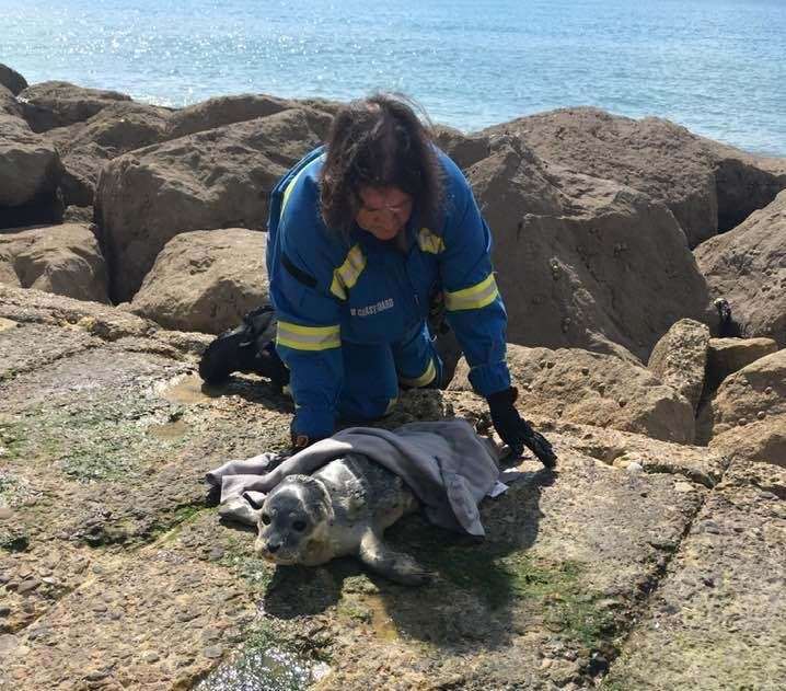 The coastguard happened to be passing at the time. Photo: Heather Dunmall