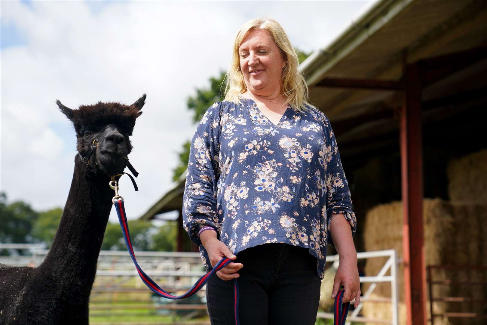 Geronimo the alpaca with owner Helen Macdonald, before he is removed from Shepherds Close Farm in Wooton Under Edge, Gloucestershire (Jacob Kiing/PA)