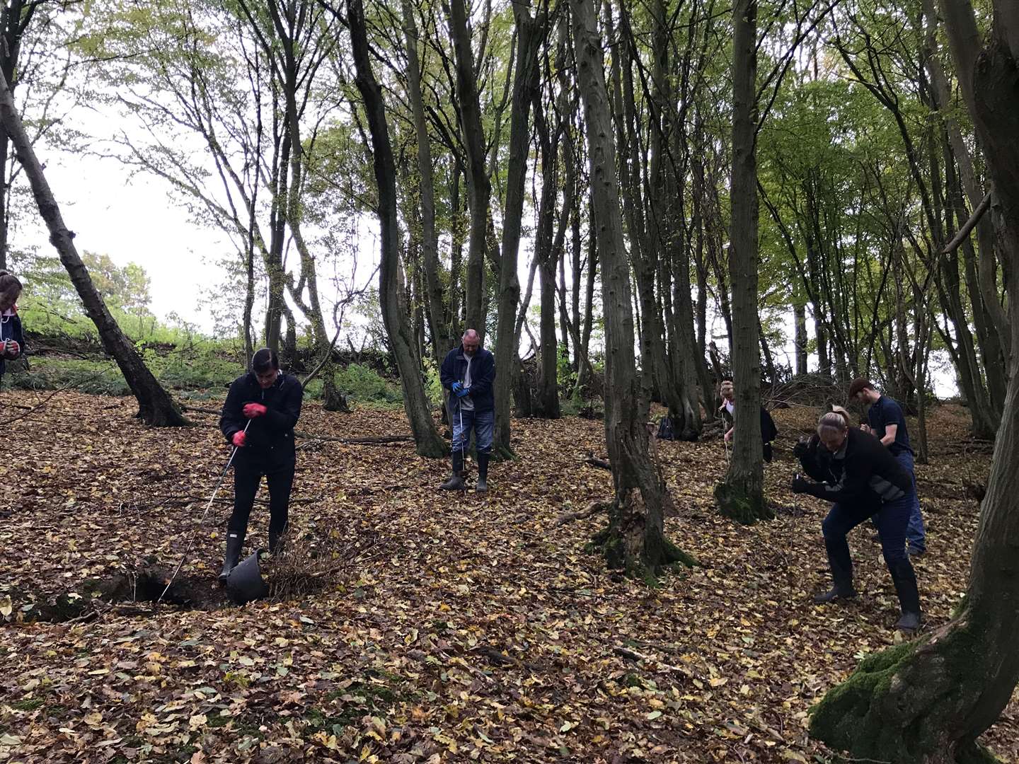 Volunteers vent the woods with metal rods in the search for Sarah Wellgreen