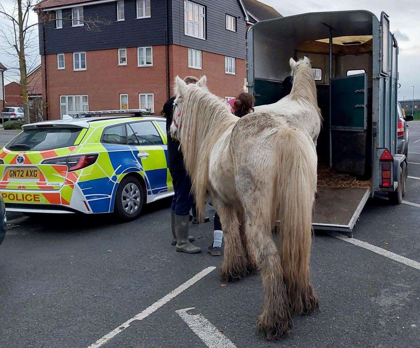 Two of the stolen horses were recovered from a location off Shamrock Road in Gravesend. Picture: Kent Police