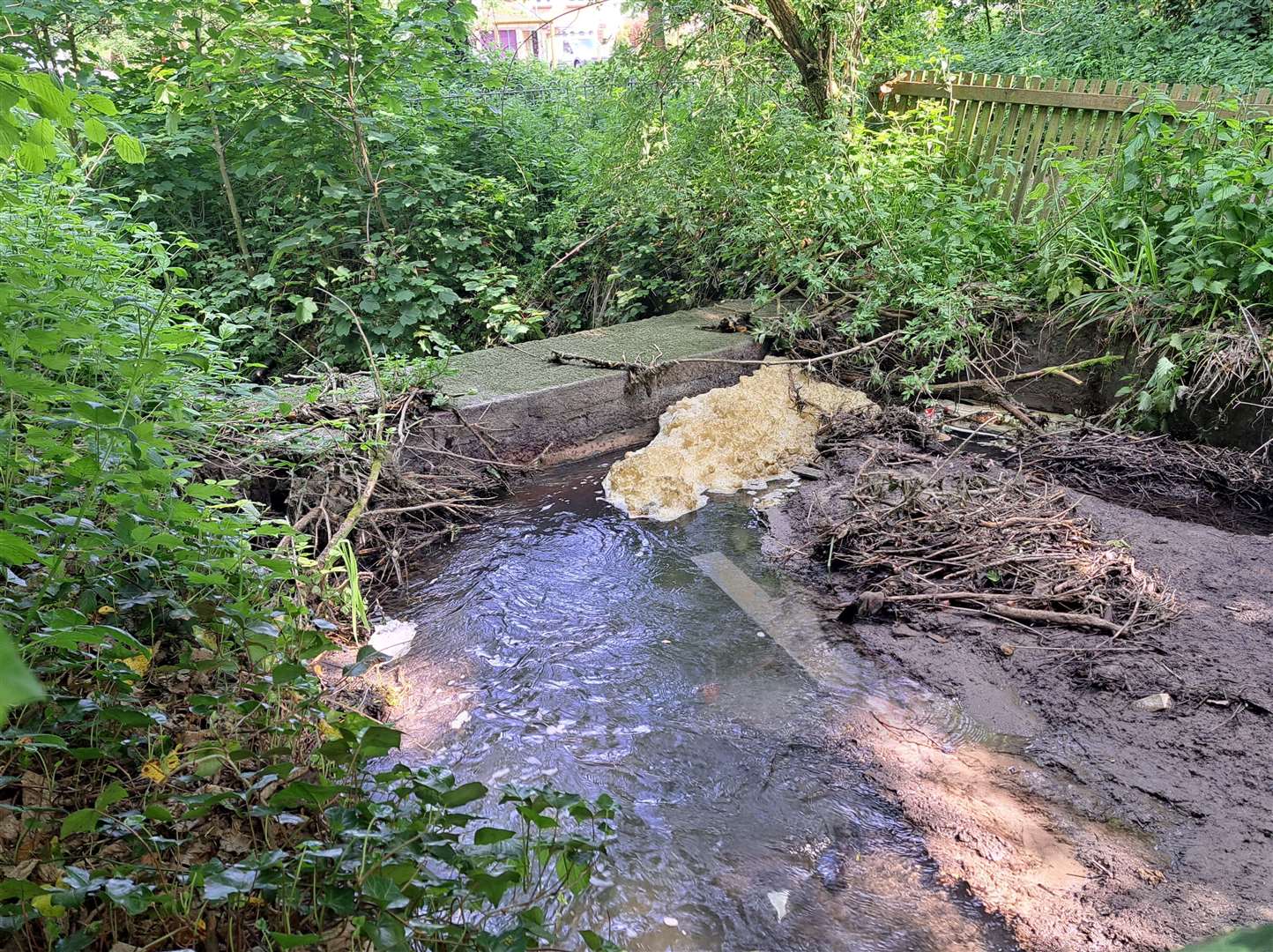 Cracked concrete weir at the millpond in Cave Hill, Tovil.