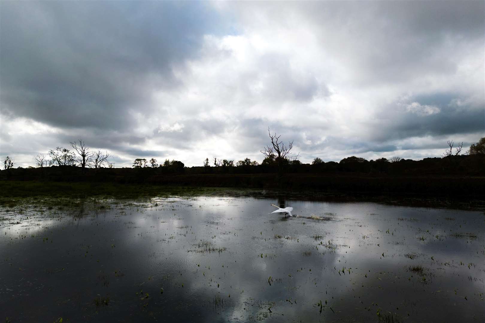 A swan takes off from a flooded field as stormy skies roll in near Mountsorrel in Leicestershire (Joe Giddens/PA)