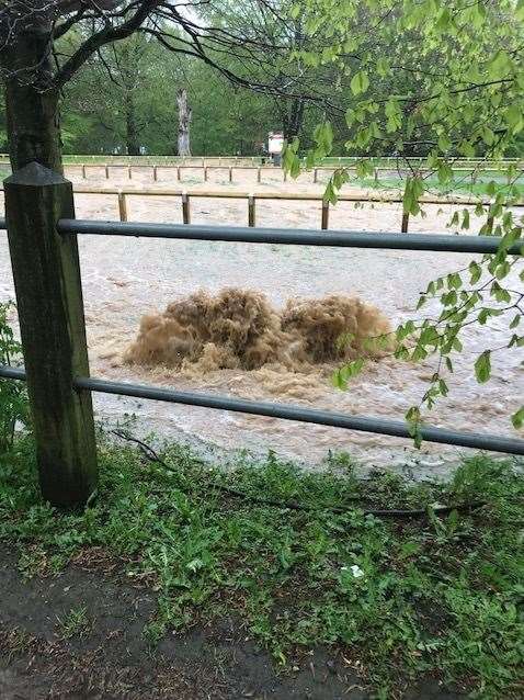 Sewage leak at Mote Park (1709993)