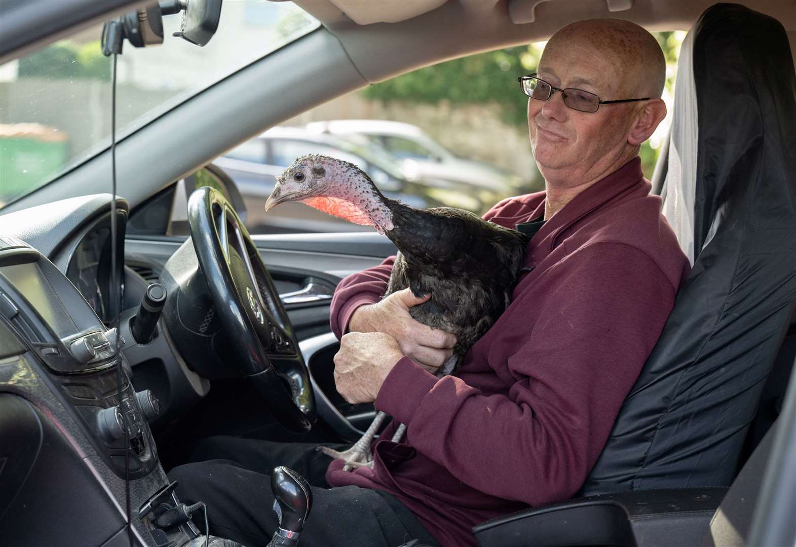 Dave Brooker in the car with his pet turkey T2. Picture: SWNS