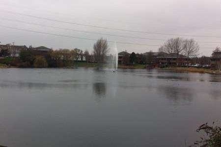 The man was spotted swimming in Cotton Lake in Galleon Boulevard