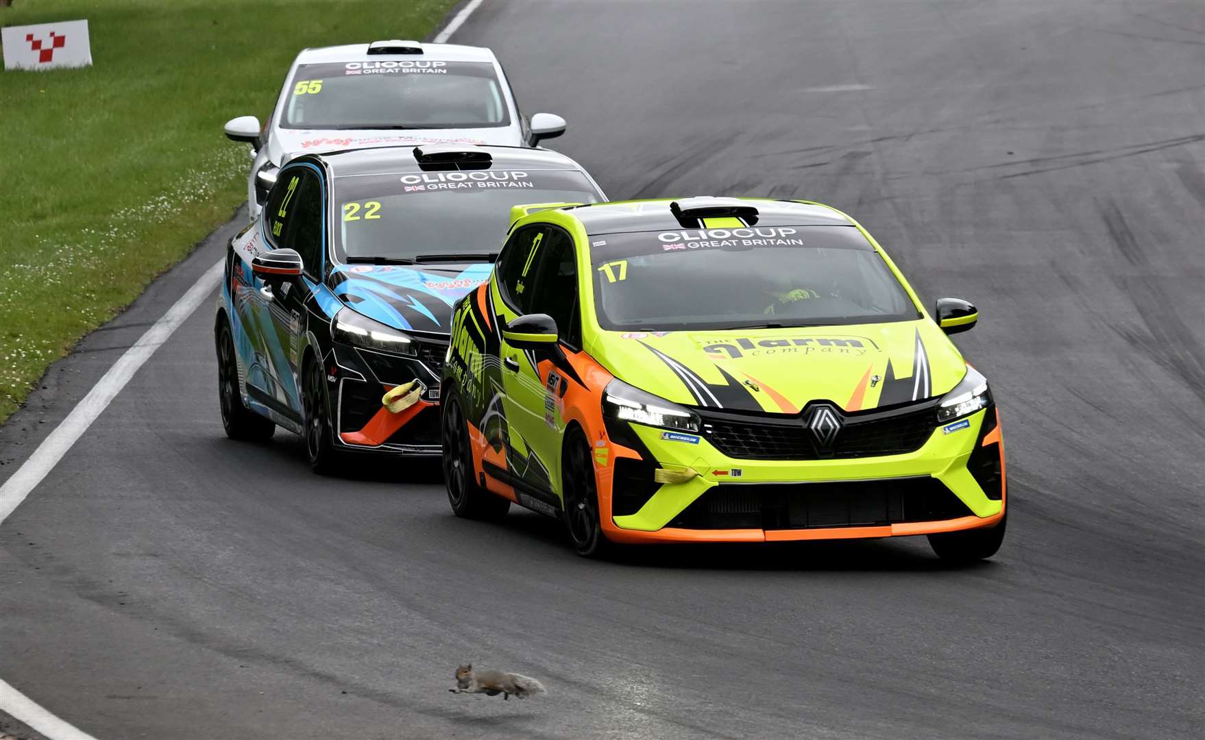 A squirrel had a lucky escape at Stirlings as Nicky Taylor led the first Clio Cup GB race at Brands Hatch on Saturday. Picture: Simon Hildrew